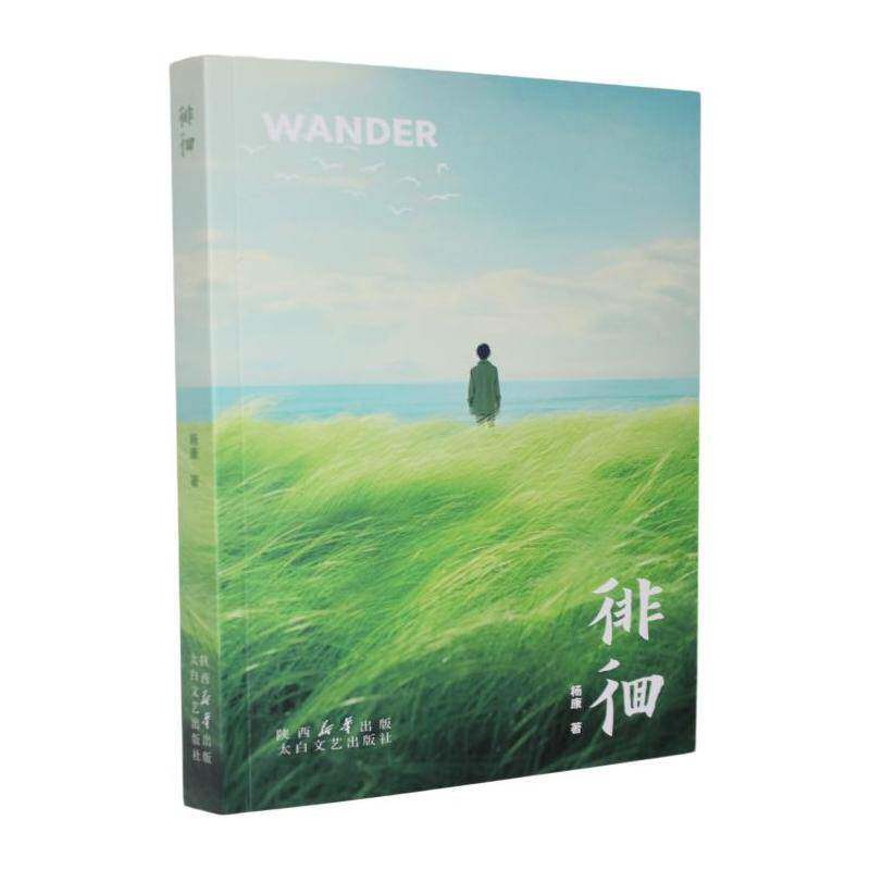徘徊杨康  小说书籍 - 实物图