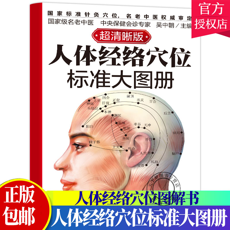 正版 人体经络穴位标准大图册 超清晰 人体经络穴位图解书人体穴位图解大全 中医按摩经络穴位书籍 经络穴位按摩大全养生书正版