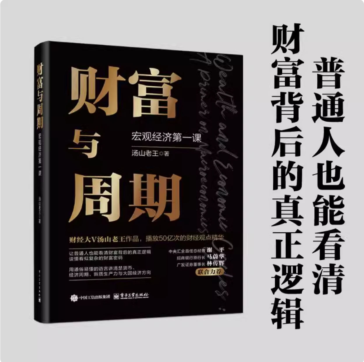 财富与周期 宏观经济第一课 汤山老王 财富运行逻辑书籍 解读经济周期运转的规律 观察中国经济未来的方向 投资理财书籍