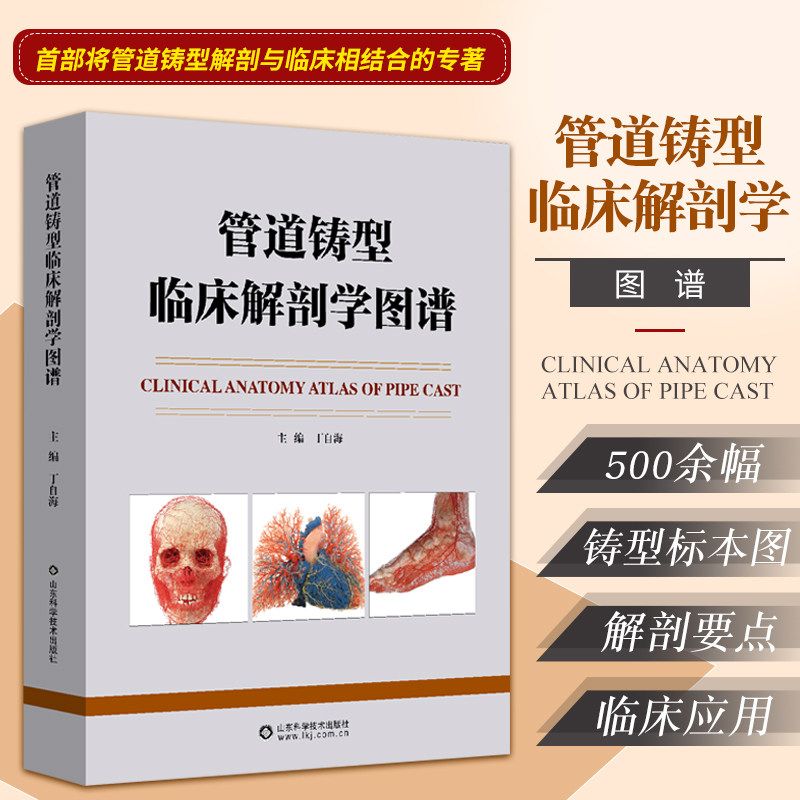 管道铸型临床解剖学图谱 丁自海 主编 人体不同部位或器官的血管或管道解剖 肺和肝的管道 山东科学技术出版社 9787572309441