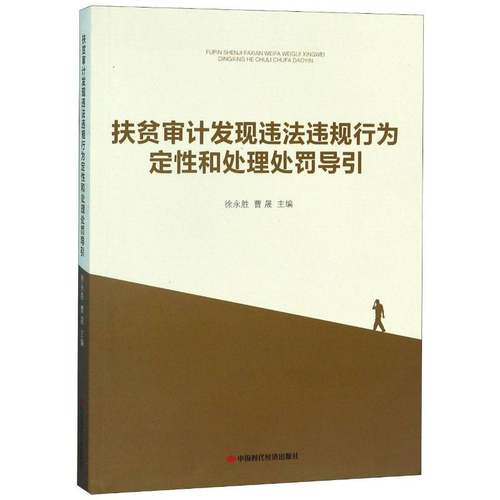 扶贫审计发现违法违规行为定性和处理处罚导引徐永胜  法律书籍