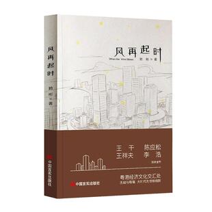 风再起时赖彬  小说书籍