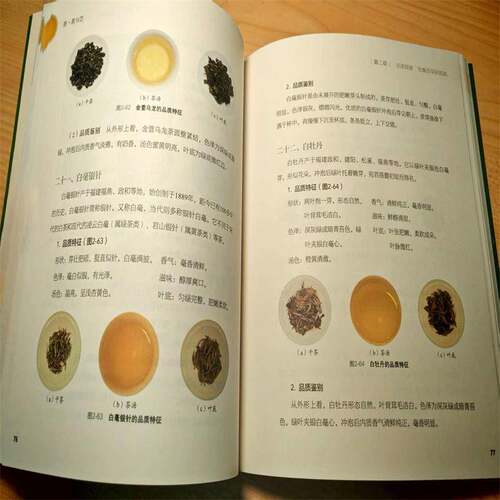 茶·茗与艺者_赵艳红宋伯轩孙晨旸宋永生  菜谱美食书籍