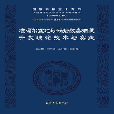 准噶尔盆地砂砾岩致密油藏开技术与实践支东明  工业技术书籍