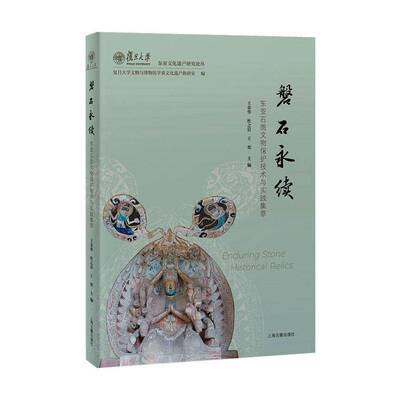 磐石永续:东亚石质文物保护技术与实践集萃:collection of east asian stone heritage conservation practices王金华  图书书籍