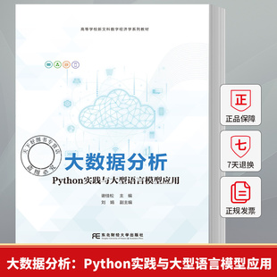 大数据分析：Python实践与大型语言模型应用 谢佳松 编著9787565458415 东北财经大学出版社