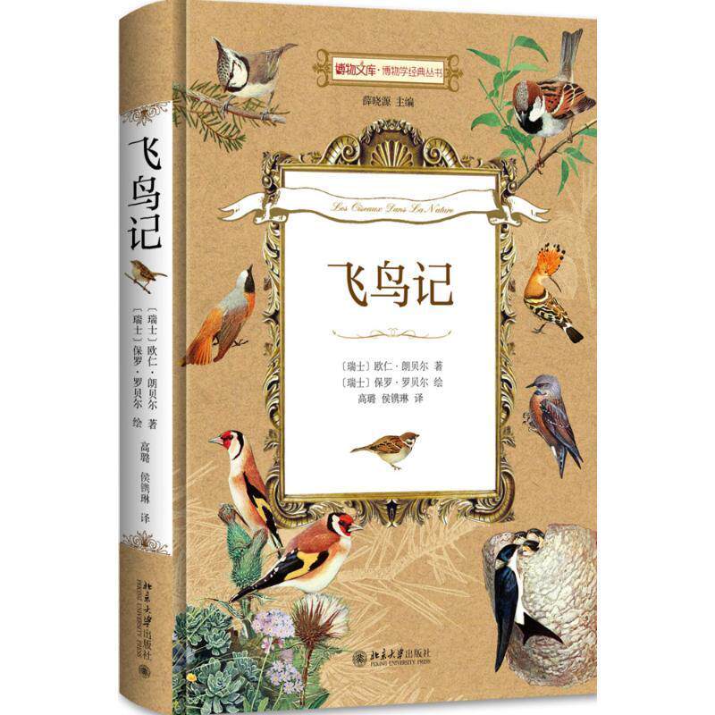 飞鸟记欧仁·朗贝尔 鸟类普及读物自然科学书籍
