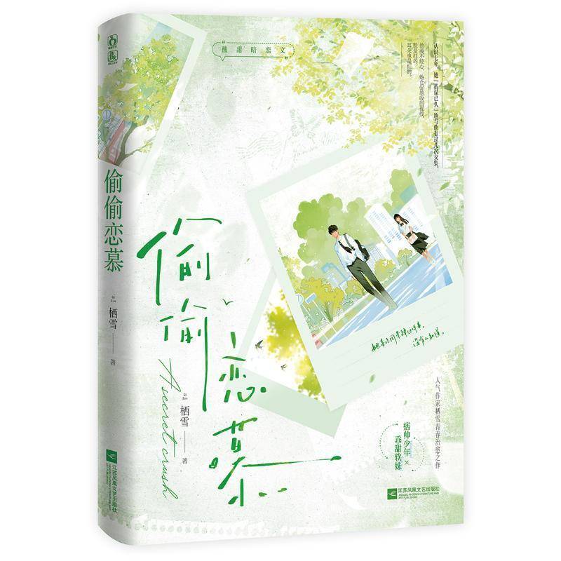 偷偷恋慕栖雪  小说书籍
