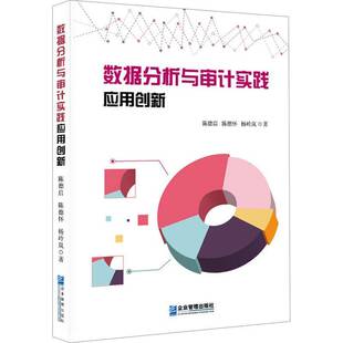 数据分析与审计实践应用创新陈德启  经济书籍