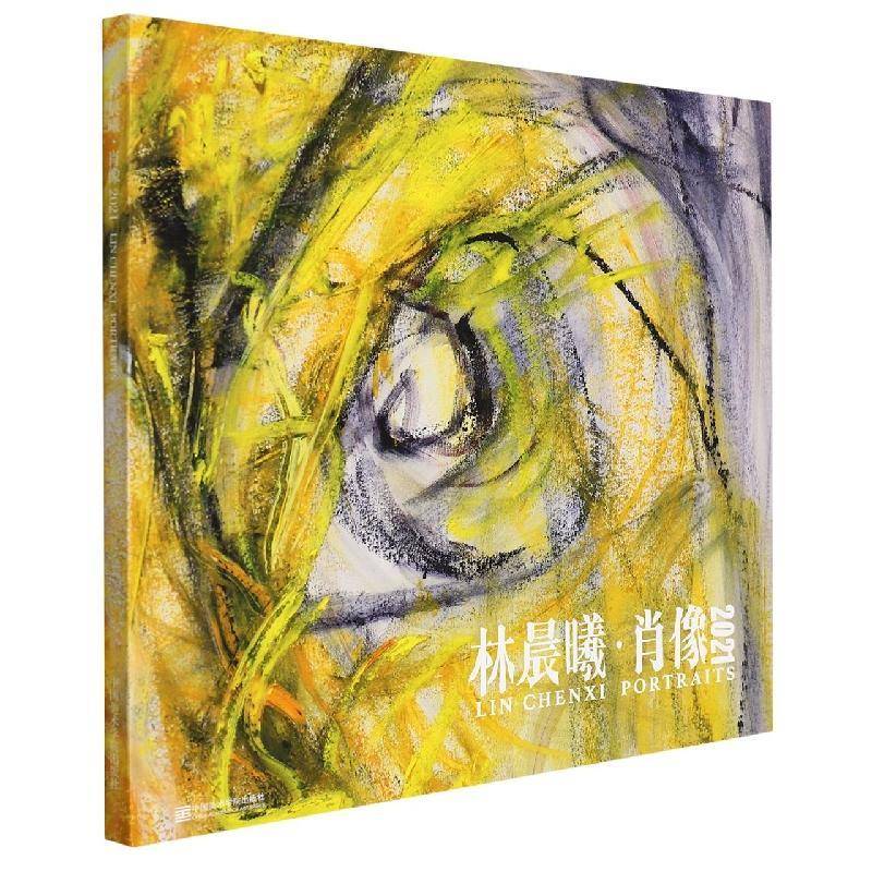 林晨曦·肖像2021林晨曦普通大众肖像画作品集中国现代静物画作品艺术书籍