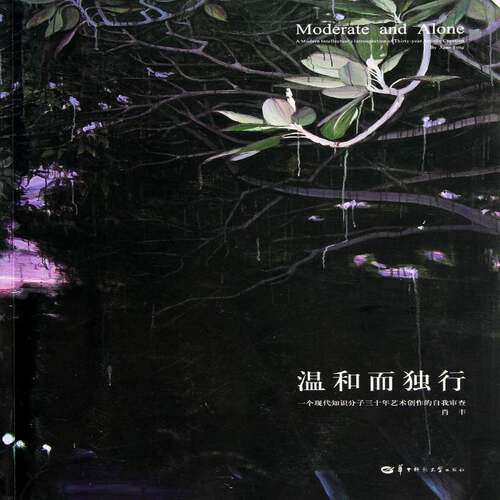 温和而独行:A modern intellectual's intrtopection of thirty-year artistic creation肖丰 艺术品作品集中国当代艺术书籍