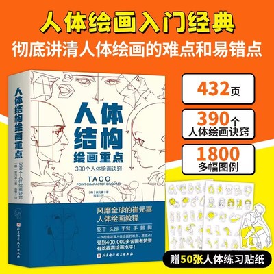正版包邮 人体结构绘画重点 人体结构 人体绘画 崔元喜 TACO人体 解剖 人体结构绘画教程 绘画技巧 绘画教程 艺用动态解剖