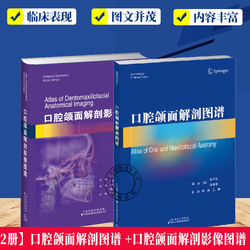 2册】口腔颌面解剖图谱岩永让+口腔颌面解剖影像图谱王铁梅口腔颌面外科口腔科整形外科天津科技翻译出版有限公司