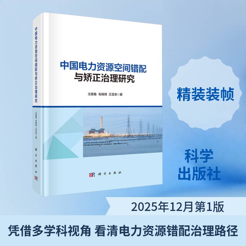 中国电力资源空间错配与矫正治理研究王德鲁能源政策制定者电网公司管理人员 图书书籍