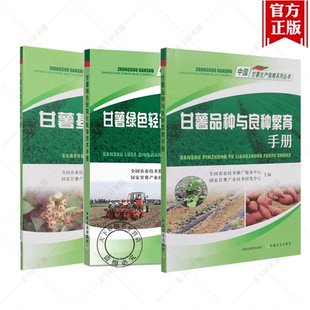 3册】甘薯基础知识+品种与良种繁育+绿色轻简化栽培 甜薯红薯甘薯种植与加工 栽培技术手册书籍