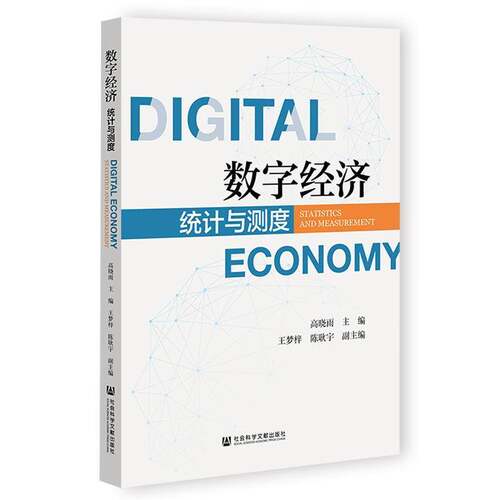 数字经济:统计与测度:statistics and measurement高晓雨  经济书籍