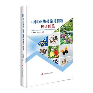 中国亚热带常见植物种子图鉴王桔红  自然科学书籍