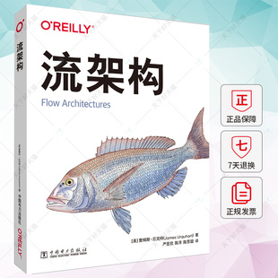 正版包邮 流架构 詹姆斯·厄克特 计算机与网络书籍 9787519869649 中国电力出版社
