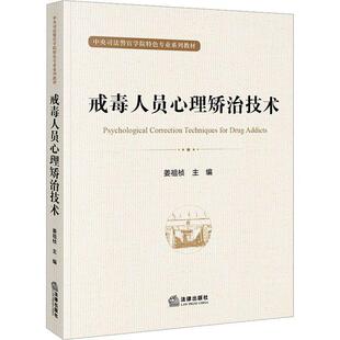 戒毒人员心理矫治技术 姜祖桢 司法警官学院禁毒学专业戒毒学本科考研教材 戒毒人员心理健康教育心理咨询 法律出版社
