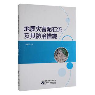 地质灾害泥石流及其措施谢湘平 自然科学书籍