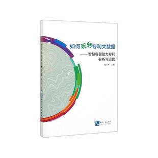 如何玩转专利大数据:智慧容器助力专利分析与运营陈玉华  法律书籍