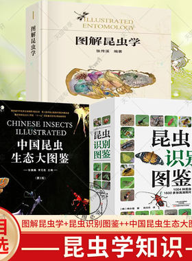 任选】图解昆虫学 昆虫识别图鉴 中国昆虫生态大图鉴 张传溪编著科普类读物昆虫学入门教材昆虫生物学 昆虫分类学 昆虫生态学