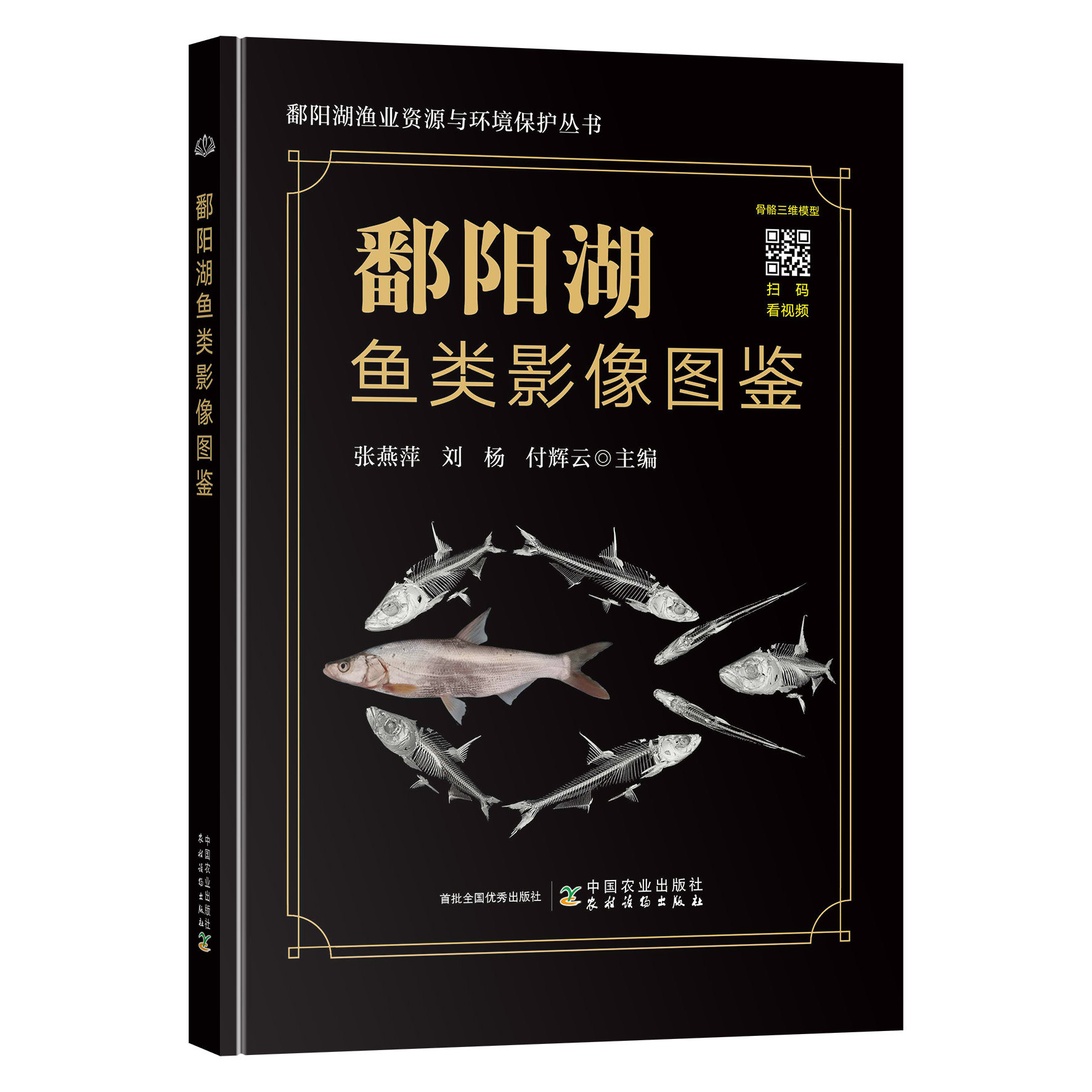 鄱阳湖鱼类影像图鉴 张燕萍,刘杨,付辉云 鄱阳湖青鱼草鱼鲢鳙鳜翘嘴鲌三角鲂长春鳊团头鲂鲤鲫形态特征分布生态习性书