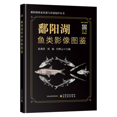 鄱阳湖鱼类影像图鉴 张燕萍,刘杨,付辉云 鄱阳湖青鱼草鱼鲢鳙鳜翘嘴鲌三角鲂长春鳊团头鲂鲤鲫形态特征分布生态习性书