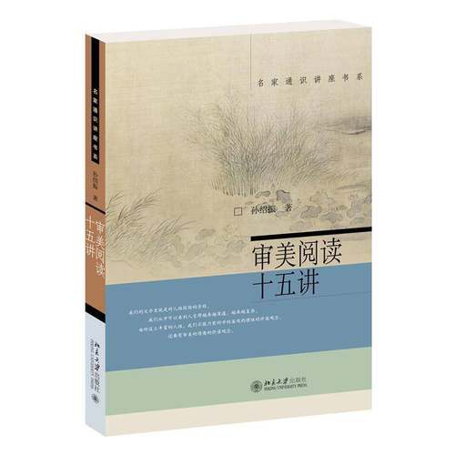 审美阅读十五讲孙绍振  文学书籍