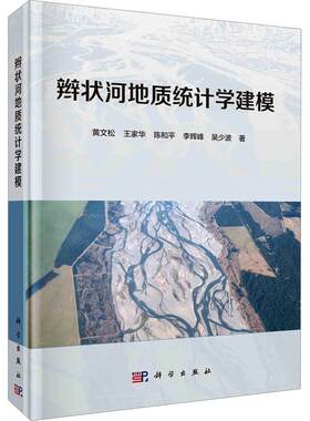 辫状河地质统计学建模黄文松  自然科学书籍