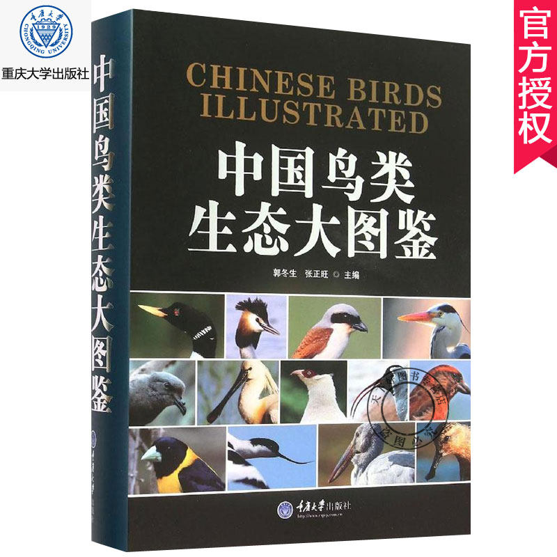 正版包邮 中国鸟类生态大图鉴 自然生态图鉴 中国鸟类图鉴 鸟类知识档案 动物百科 鸟类物种鸟类生态图 鸟类手册自然图鉴科普 书籍