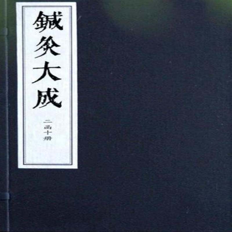 针灸大成杨继洲撰 医药卫生书籍