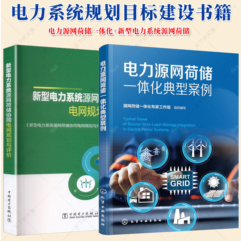 电力源网荷储一体化典型案例+新型电力系统源网荷储协同电网规划与评价 电力系统规划目标建设源荷预测方法及电力电量平衡方法书籍