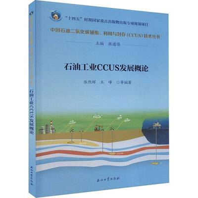 石油工业CCUS张烈辉  自然科学书籍
