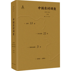 正版包邮 中国农村调查:总第53卷:村庄 徐勇邓大才魏冉 经济农村调查研究报告中国普通大众书籍 9787214166579 江苏人民出版社