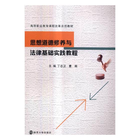 正版包邮 思想道德修养与法律基础实践教程 丁志卫 书店 书籍