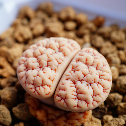 顶楼庭院阳台非常简单