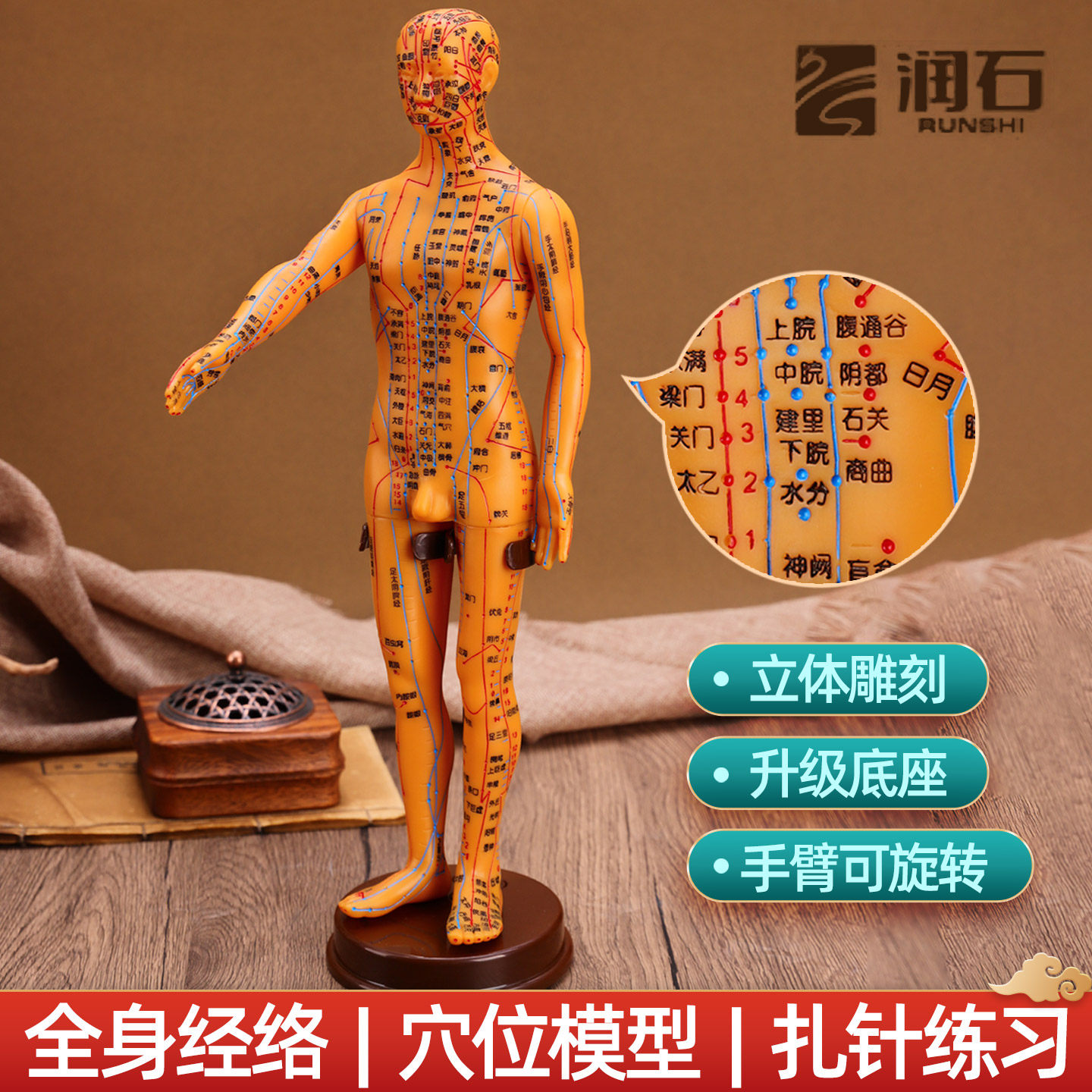 中医人体经络穴位针灸按摩模型图全身模特模具家用学习教学培训