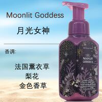 BBW Foam Hand Sanitizer Christmas Limited Edition is gentle on hands, moisturizing, long-lasting, and fragrant bath&body works thumbnail 3