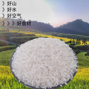 广东清远连山25年乡下晚造现磨不抛光丝苗米新米长粒油粘大米5kg