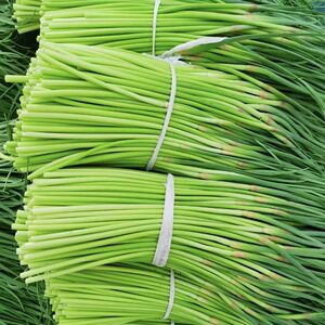 2026年新鲜现摘嫩蒜苔鲜蒜毫新蒜薹当季时令蔬菜现抽现拔