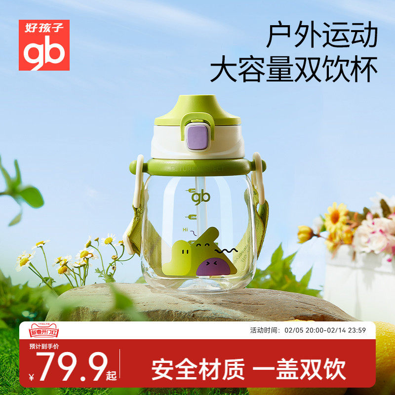 gb好孩子儿童水杯宝宝大容量双饮杯喝水吸管直饮杯一岁以上500ml