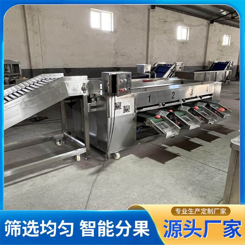 土豆洋葱直径大小滚杠分选机石榴罗汉果丰水梨多级滚杠式分选机,清洗/食品/商业设备,其他食品加工设备,淘宝优惠券,粉丝福利购,淘宝优惠卷