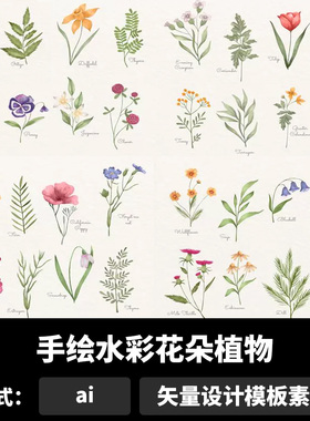 手绘水彩花朵植物小清新水仙雏菊铃兰包装设计ai矢量素材b1232