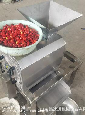 大型水果去核打浆设备山楂杨梅红枣脱核分离打浆机果酱制作机器