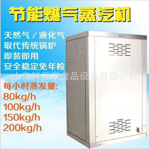 宿迁煮豆浆机燃气电蒸汽发生器 豆浆专用锅炉糊香味 豆制品设备厂