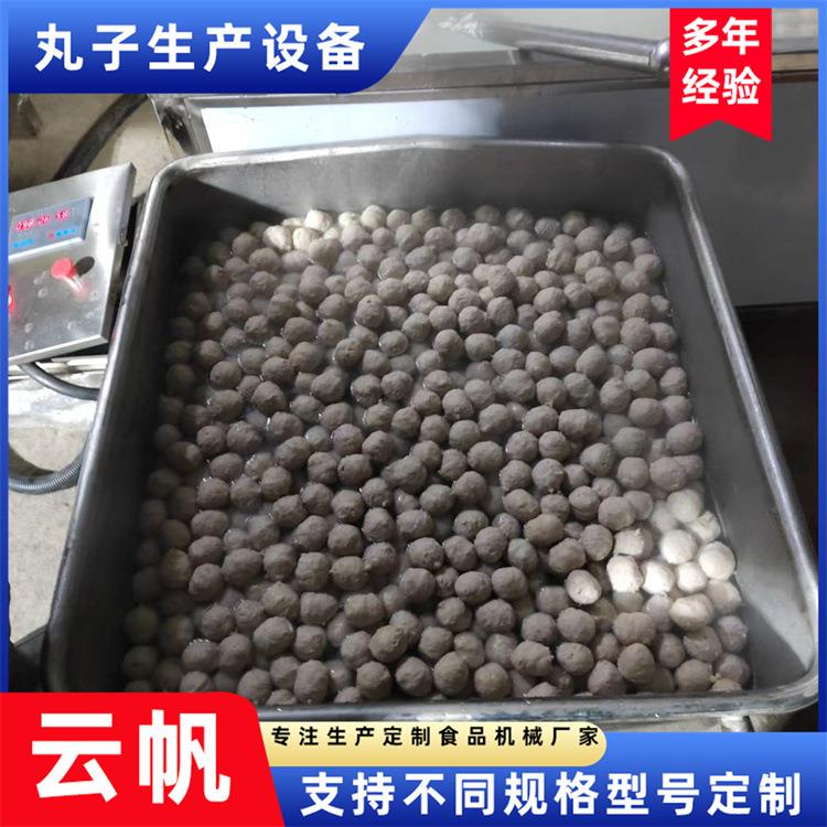 丸子的加工工艺流程 电热肉丸流水线设备小型章鱼丸子机