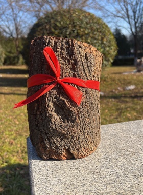 保真雷击枣木原木雷头枝原料