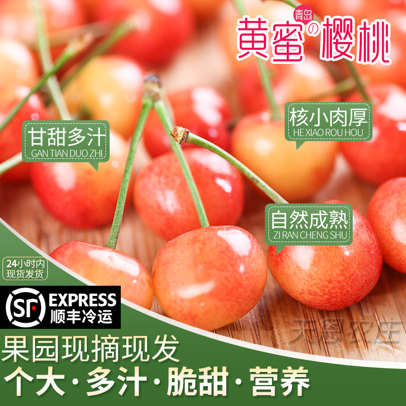 山东露天山地大樱桃大樱珠黄樱桃黄蜜黄佳红新鲜采摘顺丰包邮