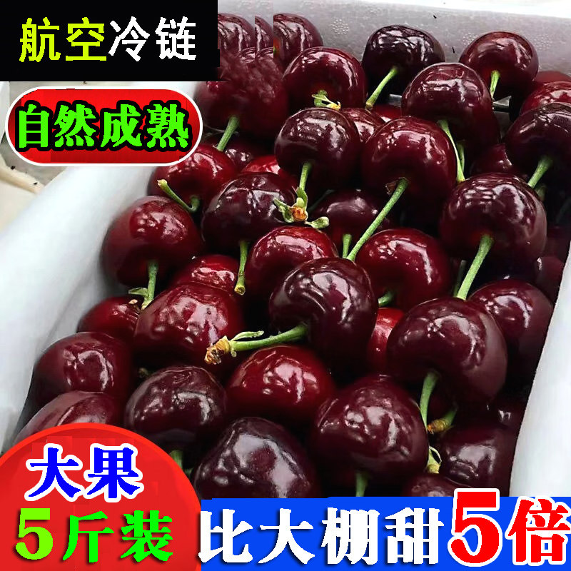 正宗山东大樱桃新鲜现摘